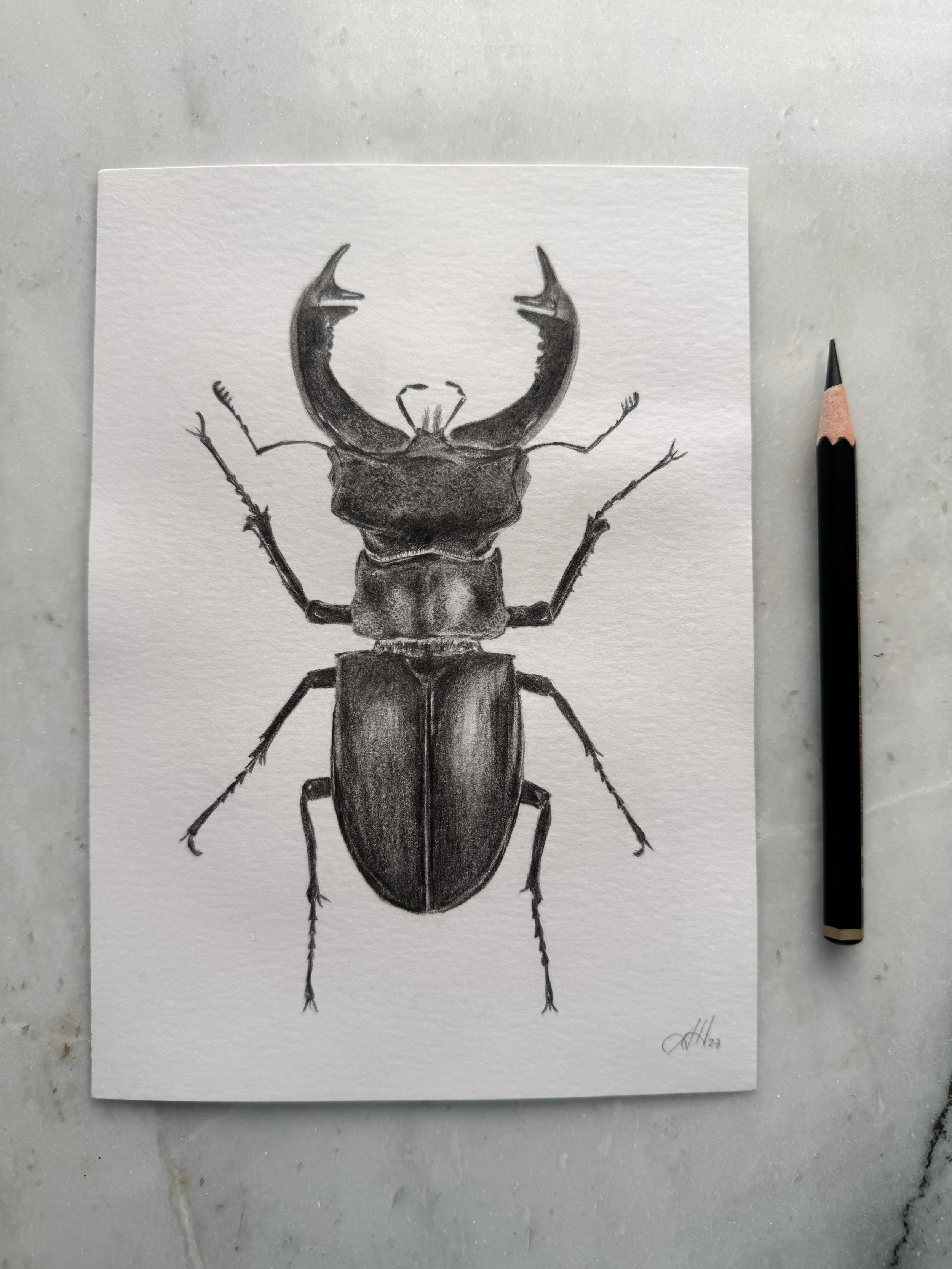 Original Studies & Sketches — Amy Hilger Studio
